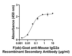 Mouse IgG2a Secondary Antibody in ELISA (ELISA)