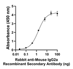 Mouse IgG2a Secondary Antibody in ELISA (ELISA)