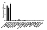 Mouse IgG2b Secondary Antibody