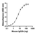 Mouse IgG2b Secondary Antibody in ELISA (ELISA)