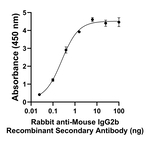 Mouse IgG2b Secondary Antibody in ELISA (ELISA)