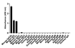 Mouse IgG2b Secondary Antibody