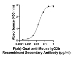 Mouse IgG2b Secondary Antibody in ELISA (ELISA)