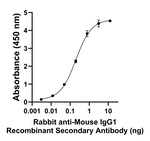 Mouse IgG1 Secondary Antibody in ELISA (ELISA)