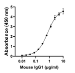 Mouse IgG1 Secondary Antibody in ELISA (ELISA)