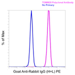 Goat anti-Rabbit IgG (H+L) Superclonal™ Secondary Antibody, PE