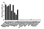 Mouse IgG (H+L) Secondary Antibody