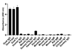 Goat IgG (H+L) Secondary Antibody