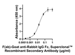 Rabbit IgG Fc Secondary Antibody in ELISA (ELISA)