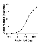 Rabbit IgG Fc Secondary Antibody in ELISA (ELISA)