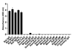 Rat IgG Fc Secondary Antibody