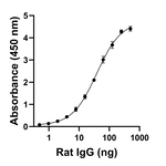 Rat IgG Fc Secondary Antibody in ELISA (ELISA)