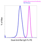 Goat anti-Rat IgG Fc Superclonal™ Secondary Antibody, PE