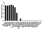 Rat IgG (H+L) Secondary Antibody