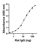 Goat anti-Rat IgG (H+L) Superclonal™ Secondary Antibody