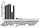Mouse IgG Fc Secondary Antibody