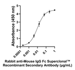 Mouse IgG Fc Secondary Antibody in ELISA (ELISA)