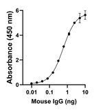 Mouse IgG Fc Secondary Antibody in ELISA (ELISA)