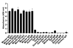 Mouse IgG (H+L) Secondary Antibody