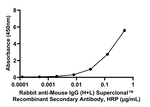 Mouse IgG (H+L) Secondary Antibody in ELISA (ELISA)