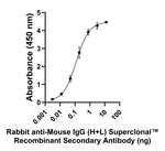 Mouse IgG (H+L) Secondary Antibody in ELISA (ELISA)