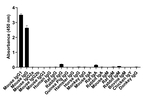 Mouse IgG1 Secondary Antibody