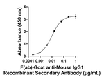 Mouse IgG1 Secondary Antibody in ELISA (ELISA)