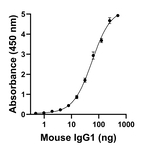 Mouse IgG1 Secondary Antibody in ELISA (ELISA)