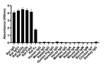 Rat IgG (H+L) Secondary Antibody