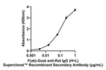 Rat IgG (H+L) Secondary Antibody in ELISA (ELISA)