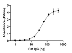 Rat IgG (H+L) Secondary Antibody in ELISA (ELISA)