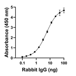 Rabbit IgG (H+L) Secondary Antibody in ELISA (ELISA)