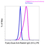 F(ab)-Goat anti-Rabbit IgG (H+L) Superclonal™ Secondary Antibody, PE