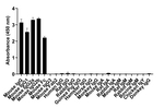 Mouse IgG Fc Secondary Antibody