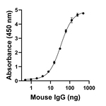 Mouse IgG Fc Secondary Antibody in ELISA (ELISA)