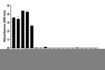 Mouse IgG (H+L) Secondary Antibody