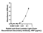 Goat Lambda Light Chain Secondary Antibody in ELISA (ELISA)