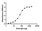 Goat Lambda Light Chain Secondary Antibody in ELISA (ELISA)