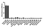 Goat Lambda Light chain Secondary Antibody