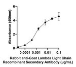 Goat Lambda Light chain Secondary Antibody in ELISA (ELISA)