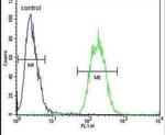 SPACA1 Antibody in Flow Cytometry (Flow)