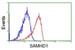 SAMHD1 Antibody in Flow Cytometry (Flow)
