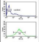 SBSN Antibody in Flow Cytometry (Flow)