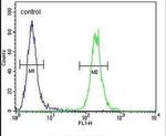 SCARF2 Antibody in Flow Cytometry (Flow)