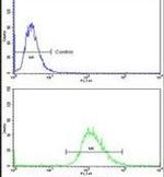 SCFD1 Antibody in Flow Cytometry (Flow)