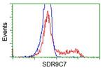 SDR9C7 Antibody in Flow Cytometry (Flow)