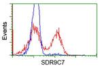 SDR9C7 Antibody in Flow Cytometry (Flow)
