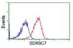 SDR9C7 Antibody in Flow Cytometry (Flow)