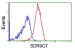 SDR9C7 Antibody in Flow Cytometry (Flow)