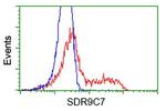 SDR9C7 Antibody in Flow Cytometry (Flow)